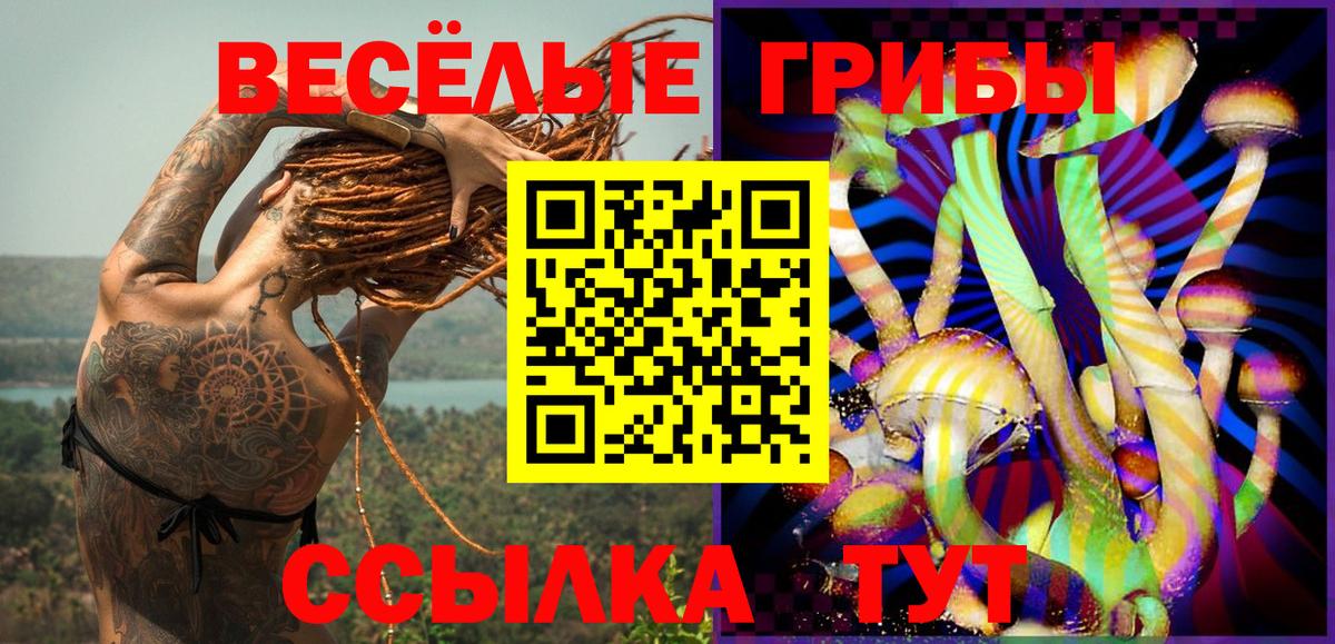 купить наркоту  Псилоцибиновые грибы GOLDEN TEACHER  Вход с VPN  Муром  Галлюциногенные грибы Psilocybe 
