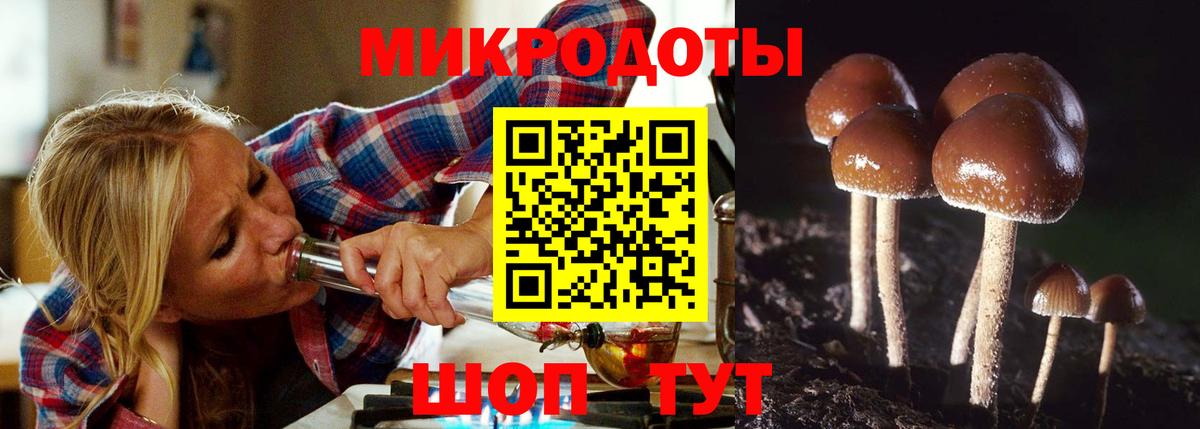 Псилоцибиновые грибы ЛСД Муром